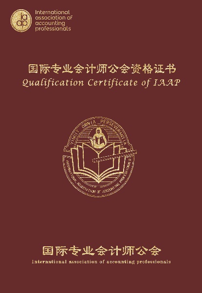 国际注册会计师证书